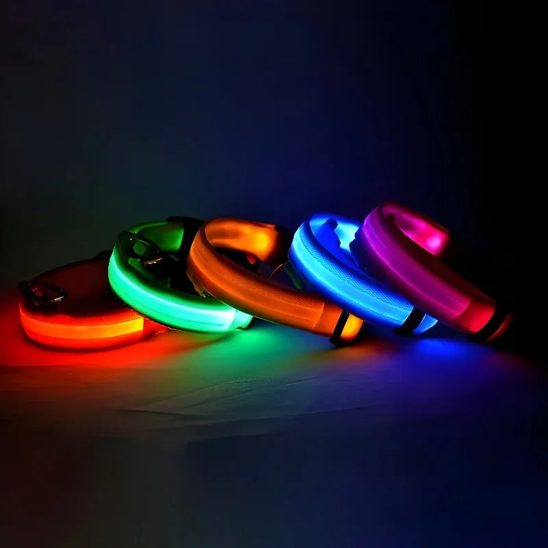 Collar Nylon LED