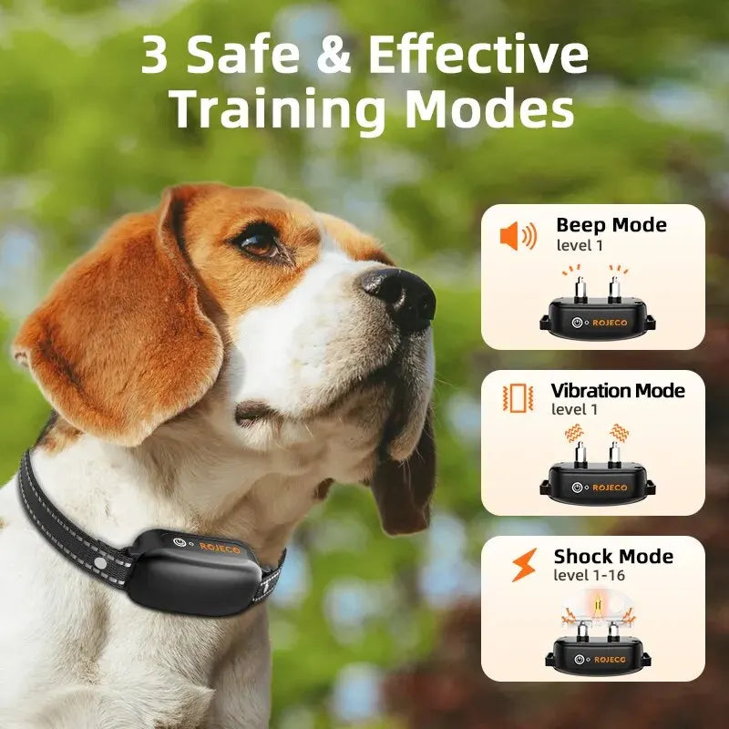 Training collar